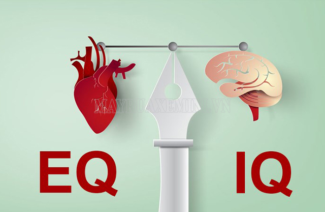 Sự khác nhau giữa IQ và EQ