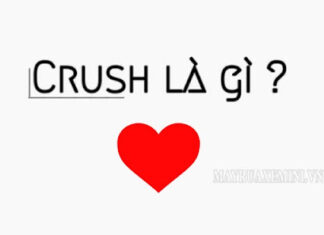 Crush là một ngôn ngữ của tuổi teen