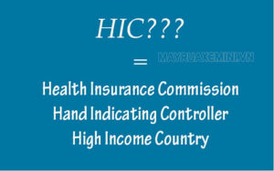 HIC là tên viết tắt của nhiều thuật ngữ