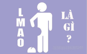 Lmao nghĩa là  “Laughing My Ass Off”