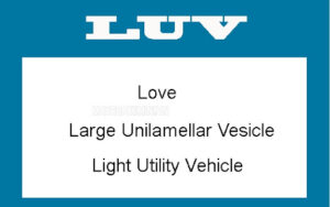 Từ LUV là từ viết tắt của một số thuật ngữ