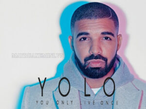Yolo có nguồn gốc từ bài hát cùng tên của rapper Drake