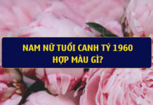tuoi-canh-ty-1960-hop-mau-gi
