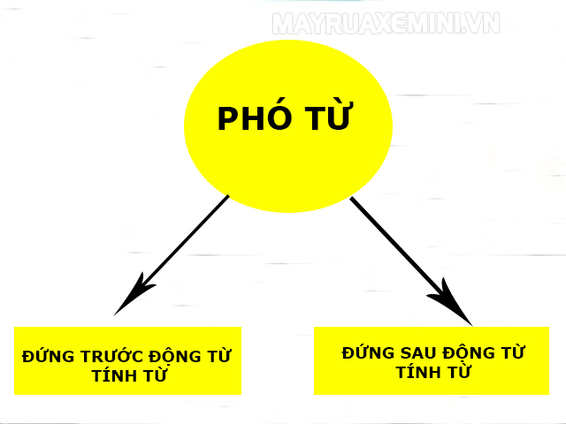 2-loai-pho-tu-thuong-gap