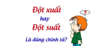 Đột xuất là từ viết đúng chính tả