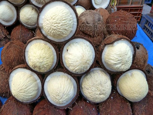 Mộng dừa hiện đang được bán với giá rất cao