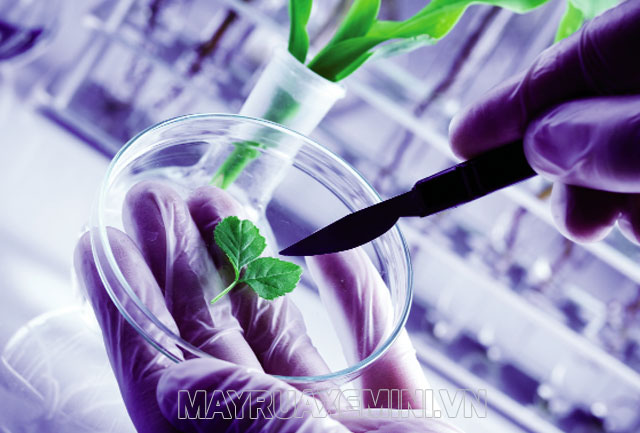Di truyền học cung cấp nền tảng lý thuyết cho quá trình chọn giống, y học và công nghệ sinh học