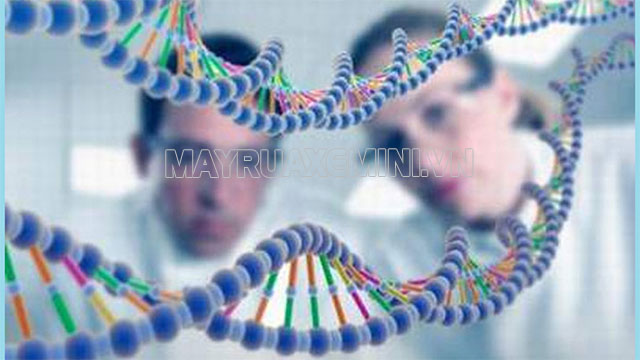Di truyền học là một lĩnh vực sinh học nghiên cứu về tính di truyền và biến dị của các sinh vật